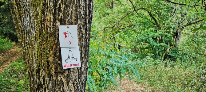 Bogenparcours Schaumberg im Saarland Bogenparcours Schaumberg im Saarland